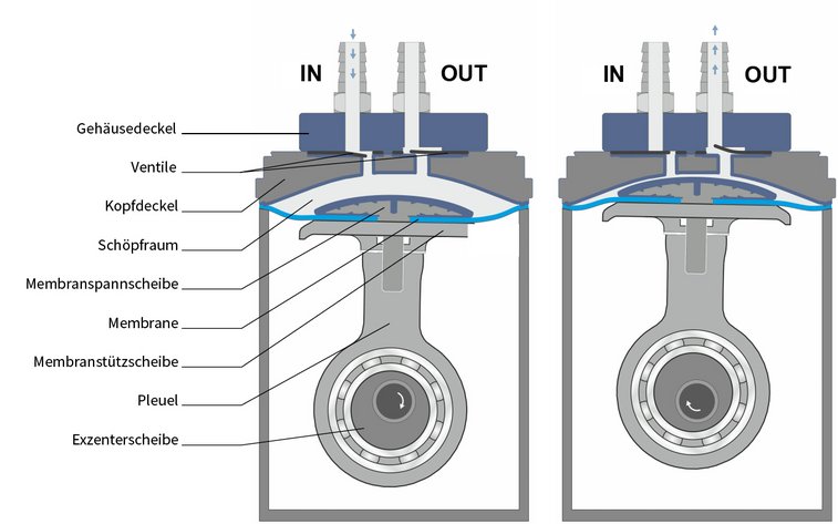 Illustration des Funktionsprinzips einer Vakuummembranpumpe mit deutschen Titeln